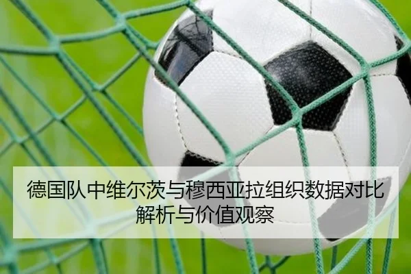 德国队中维尔茨与穆西亚拉组织数据对比解析与价值观察
